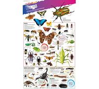 DKfindout! – Póster de insectos – Collins