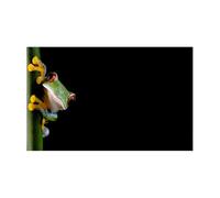 DKJAHSEK Fondo Acuario Pegatina de Fondo for Acuario, póster de Rana de Dibujos Animados, decoración de pecera, Papel Tapiz Autoadhesivo(30x61cm)