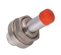 DL SERVICE Válvula señalizadora Aeternum para Lagostina, compatible con olla a presión 3,5,7,9 litros | Códigos Y0RAA00012, Y0RAA00003 N136