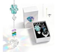 Dletay Urnas para mascotas, para perros, gatos, cenizas, atrapasueños de cristal, en forma de corazón, recuerdo de cremación, recuerdo de duelo, huella de pata, pérdida de mascotas, puente arcoíris
