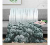 DLONIRPEX Estampado 3D Frost-Covered-Fields Manta de salón Microfibra Ropa de Cama no desprende Pelusa Natural-Winter-s Plaid de salón cálido para jóvenes en casa con Amigos 40x50inch(100x130cm)