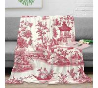 DLONIRPEX Estampado 3D Garden Scene Manta de salón Microfibra Ropa de Cama Lavable en Lavadora Traditional Oriental Manta de salón Suave para jóvenes en Noches con Amigos 40x50inch(100x130cm)