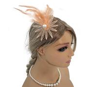 DLUKENY Accesorio para el pelo de poliéster ligero con velo de malla para mujeres y niñas, accesorios de fiesta de boda