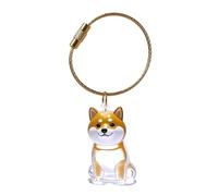 DLUKENY Llavero conmemorativo para mascotas, ligero, para llevar el pelo de perro, en caja transparente, caja de joyería de pelo de perro