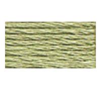DMC 117-523 - Pérdida de Bordado de algodón Trenzado, 6 Hilos, Color Verde Helecho