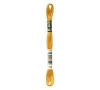 DMC 6-Strand Embroidery Cotton 8.7yd-Medium Topaz