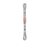 DMC Hilo mouliné Coloris – Algodón – 4 colores por madeja, 8 m, 6 hebras – 4501 Wiildflowers
