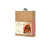 DMC Desert Meditation Mindful Making - Kit de agujas de perforación