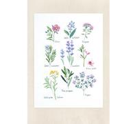 DMC - Kit de punto de cruz