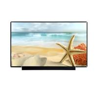 DMJBNBPO Compatible con N173HCE-E3C,Rev.B1 Fit N173HCE-E3B N173HCE-E3A Rev B1 Pantalla LED LCD FHD IPS de 30 Pines 1920 × 1080