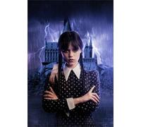 DMQBT 1500 Piece Rompecabezas para Adults - Classic Horror Movies Wednesdays Póster - 1500 Piece Juguete Rompecabezas Personalizado para Adultos - Cq229Zj