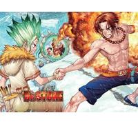 DMQBT 1500 Piece Rompecabezas Rompecabezas ,Fotos ,Gifts ,Classic Japanese Animes Dr.Stone ,Juegos De Desafío para Niños ,Juguete De Descompresión para Adultos - Xt235Zp