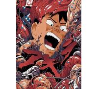 DMQBT 1500 Piezas Rompecabezas - Irregular Rompecabezas - Japanese Animes Katsuhiros K Póster - Juguete Personalizado Divertido Gifts - Juguetes Educativos para Niños - Hz453Xa