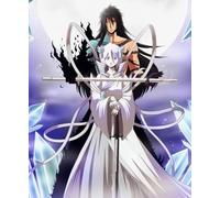 DMQBT Rompecabezas 1500 Piezas - Irregular Rompecabezass - Gifts - Japanese Animes Bleachs Póster - Juegos De Memoria para Adultos - Juguetes para Aliviar El Estrés En Familia Gifts - Hz290Xa