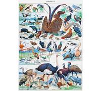 DMQBT Rompecabezas 1500 Piezas - Póster - Difficult Rompecabezas - Gifts - Animal Vintage Illustrations - para Juguetes De Desafío Personalizados para Adultos - Decoración del Hogar - Cq185Zj