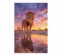 DMZPKZB Impresiones en lienzo de animales León macho Obras de arte impresas modernas，Carteles de animales，Adecuado para sala de estar, dormitorio, oficina, pasillo（amarillo161-30x45cm Sin marco