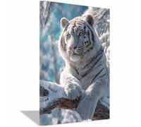 DMZPKZB Impresiones en lienzo de animales Tigre blanco Obras de arte impresas modernas，Carteles de animales，Adecuado para sala de estar, dormitorio, oficina, pasillo（blanco01-50x70cm Enmarcado
