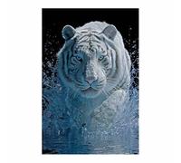 DMZPKZB Impresiones en lienzo de animales Tigre Cuadros geniales para decoración de paredes, obras de arte grandes,para dormitorio, cocina,baño（blanco46-80x120cm Sin marco