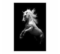 DMZPKZB Pósteres de animales Caballo blanco Decoración de carteles retro, lienzos, arte mural, decoración de sofás para salas de estar y dormitorios（blanco119-60x90cm Sin marco