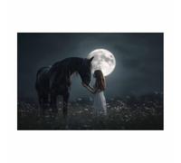 DMZPKZB Retratos modernos de animales Chica con el Caballo Negro Cuadros vida silvestre,para sala de estar,dormitorio,baño,pasillo y decoración paredes del hogar（Multicolor-50x70cm Sin marco
