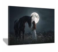 DMZPKZB Retratos modernos de animales Chica con el Caballo Negro Cuadros vida silvestre,para sala de estar,dormitorio,baño,pasillo y decoración paredes del hogar（Multicolor-70x100cm Enmarcado