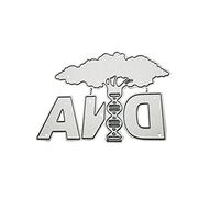 DNA - Plantilla de metal para álbumes de recortes, tarjetas de papel, plantillas, troqueles de corte