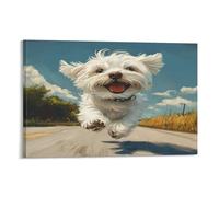 DNAVSOETR Maltese Dog Cuadro En Lienzo Cuadros Decoracion Pinturas Murales Pintura Poster Impresiones Lienzo Para Salon Dormitorios Comedor Pasillo 20x30inch(50x75cm)