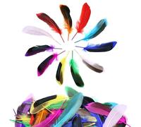 DNDGDLUA - Lote de 50 plumas de colores, plumas artesanales, plumas naturales, plumas artesanales, plumas suaves, plumas de colores melazados para trabajos manuales, fiestas, decoraciones, sombreros o