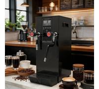 DNEPEI Máquina de Bebidas Comercial de 2,5 kW, dispensador de Agua hirviendo de 12 l y espumador de Leche, con función de Temporizador para cafeterías, Salones de té y postres Black-110V