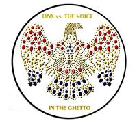 Dnx Feat. the Voice - Pd [Vinilo]