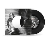 Do I Have Your Attention? / the Broken [Vinilo]