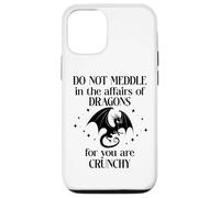 Do Not Meddle in The Affairs of Dragons Book Dragon Fantasy Carcasa para iPhone 12/12 Pro