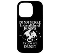 Do Not Meddle in The Affairs of Dragons Sign,Book Dragon Carcasa para iPhone 14 Pro