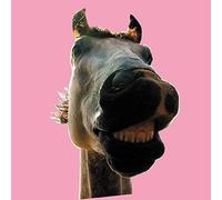 Do!!The★MUSTANG (完全生産限定アナログ盤) (特典なし) [Analog]