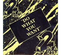 Do what you want (12 Inch Remix/The Deep Dub, b/w 'Take me away [Vol.1 Remix/A Junior Vasquez Mix]') / Vinyl Maxi Single [Vinyl 12'']