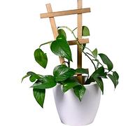 dobar Green Label 29185FSCe Sorento - Juego de 4 enrejados de Madera, 19 x 1,4 x 39 cm, Soporte para Plantas, tamaño M, marrón