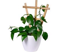 dobar® Green Label 29186FSCe Positano - Juego de 4 Rejillas Decorativas de Madera, 27,9 x 1,4 x 39 cm, Color marrón