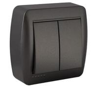 Doble Conmutador de Superficie Grafito, Serie Mural, 12A, 250V - Ideal para controlar luces en diferentes ambientes.