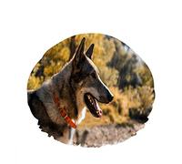 Doble impermeable Gorro de ducha de baño Summer Time Grey Pet Dog Side Face Doodle Reutilizable Fashion Shower Hat para mujeres Belleza, BathHair Spa, Home Hotel Travel Use