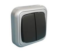 Doble interruptor de superficie 10a/250v~ color plata/gris electro dh