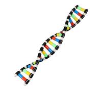 Doble, kit de modelo de ADN - Modelo de ADN para niños Estructura de doble estructura - Materiales educativos, decoración de clase de biología, modelo de ciencia de la ciencia del ADN ensamblado ADN