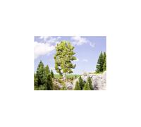 Noch Abedul de doble tronco, 19 cm