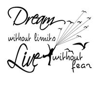Docliick® Vinilo de pared decorativo en Inglés "DREAM WITHOUT.." Pegatinas de pared decorativa de frases celebres.Vinilo decorativo decoración hogar DC-150-ING (Vinilo de corte, 30x20cm)