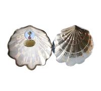 DOCOLASTRA Concha de Bautismo de la Virgen deL Pilar en Cristal Nacarado.Opción de Personalizacion y Pañuelo de Bautizo (CRISTAL FILO Y TRASERA PERSONALIZADA)