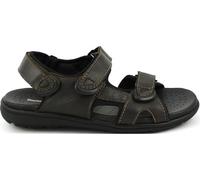 Doctor Cutillas Sandalia de hombre 70115 Autoadherente de la talla 41 en color MARRON