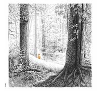 Doctor doom - A shadow called danger