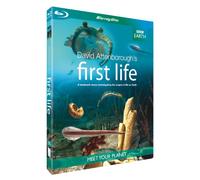 Documentary - First Life