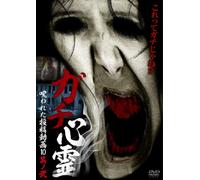 Documentary - Gachi Shinrei Norowareta Toko Doga 10 2 [Japan DVD] TOK-D0010
