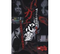 Documentary - Gachi Shinrei Norowareta Toko Doga 8 [Japan DVD] TOK-D0061