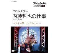 (Documentary) - Professional Shigoto No Ryugi Pro Wrestler Naitoh Tetsuya No Shigoto Sho [Edizione: Giappone] [Italia] [DVD]